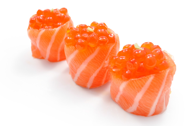 T1 Tulip oeufs de saumon